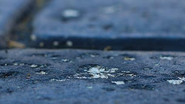 Spalling Thumb